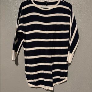 The Limited Navy and White Striped Sweater